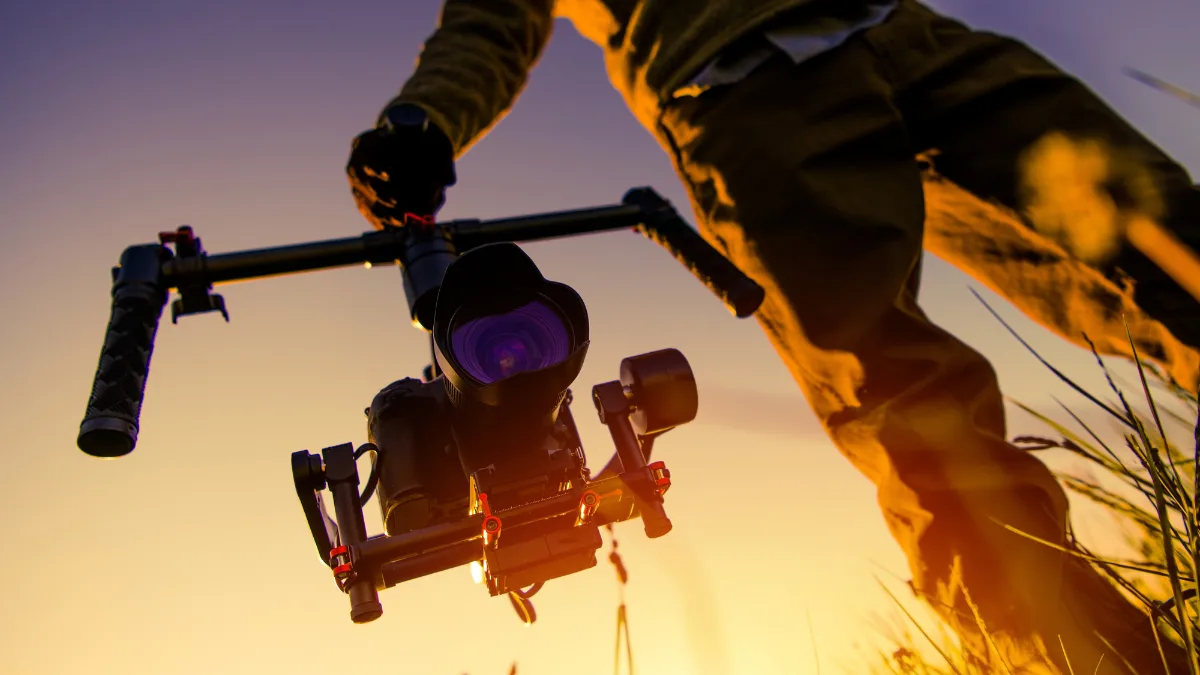 Gimbal Stabilizer