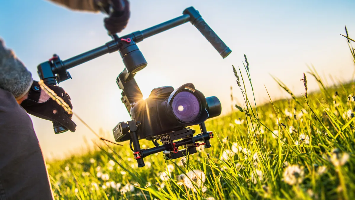 Types of Gimbal Stabilizer