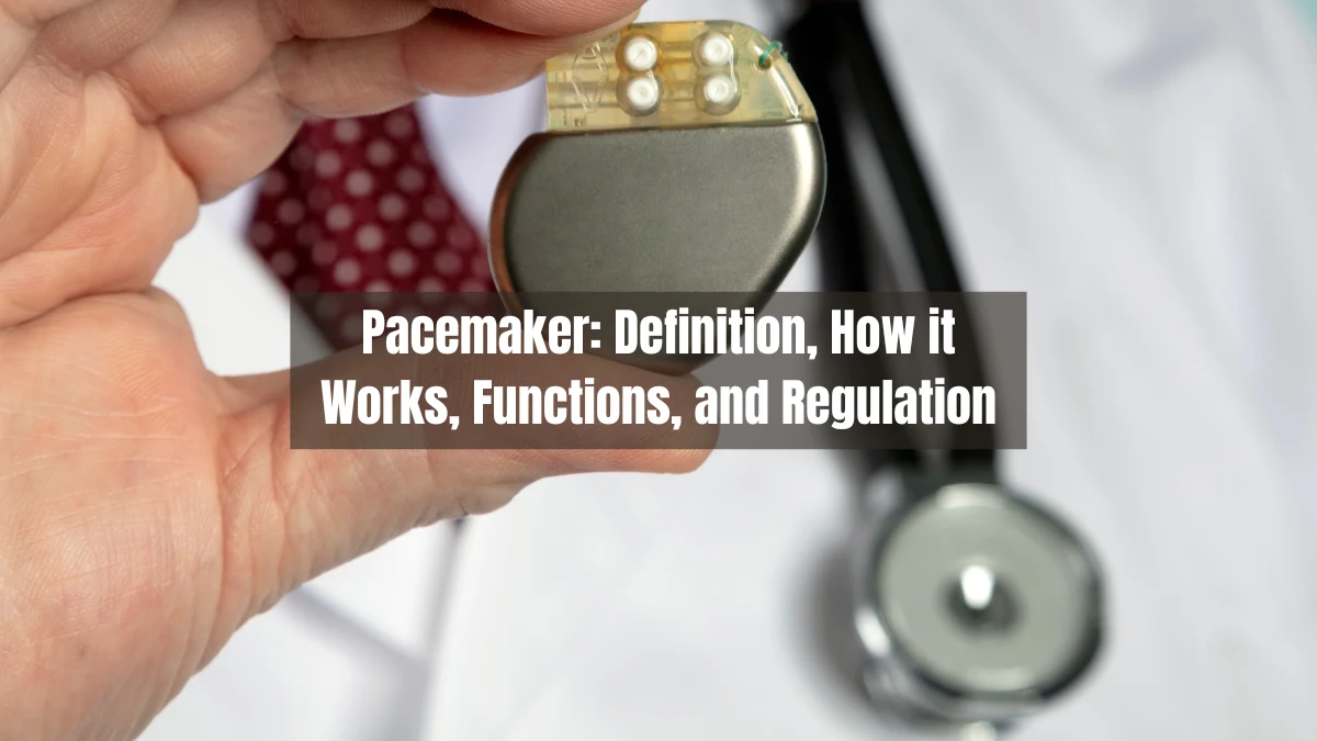 Pacemaker: Definition, How it Works, Functions, and Regulation