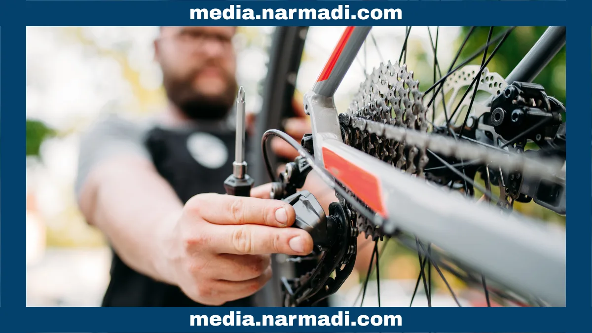 Electronic Shifting Bike