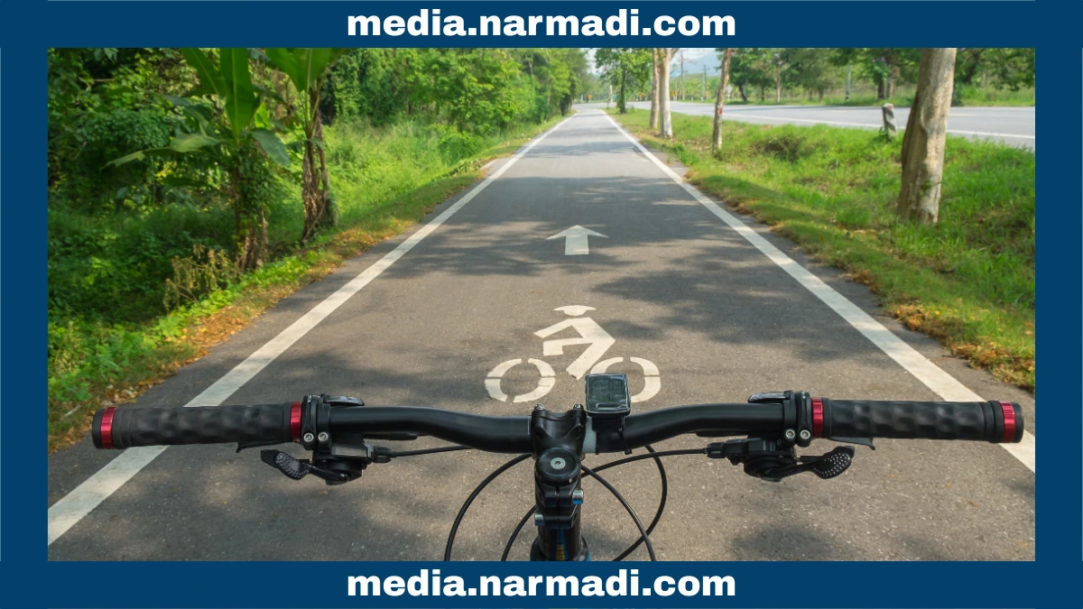 Electronic Shifting Bike vs Mechanical