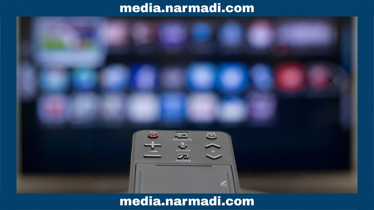 Inside the Sensor Ecosystem of Magic Remotes: Gyroscope, Accelerometer & IR