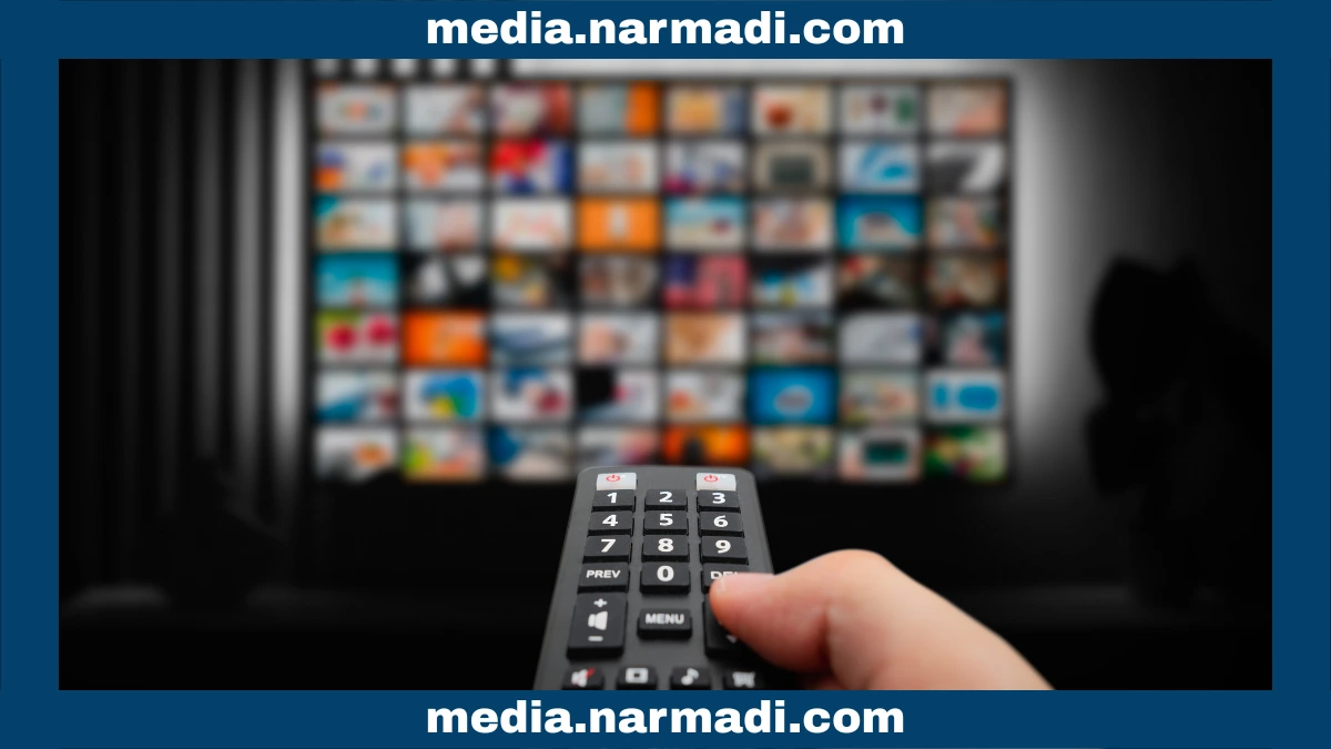 Beyond TV: How Magic Remote Controls Smart Home Devices