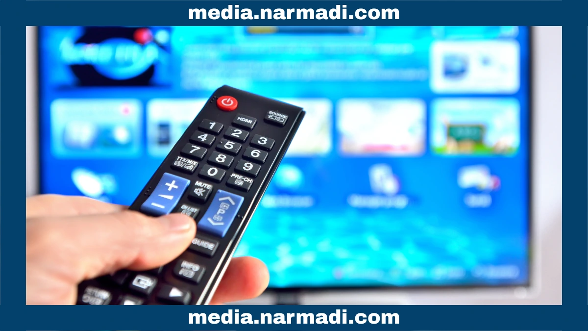 Magic Remote Controls Smart Home Devices