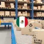 What are the Label Requirements for Mexico Type Approval
